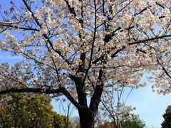 -合肥野生动物园