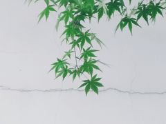 -沧浪亭
