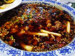 璧山兔-西木兔(大圆祥店)