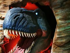 -正佳自然科学博物馆