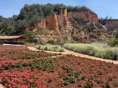 -彩色沙林风景区