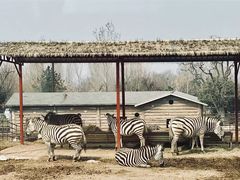 -西安秦岭野生动物园