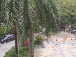 -宝生月子中心·私家园林式(龙华观澜店)