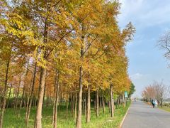 -嘉北郊野公园