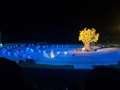 -鼎盛王朝康熙大典实景演出