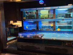-新安人家·22年本地餐厅