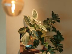 -luutosa  cafe & tea 鹿兔山