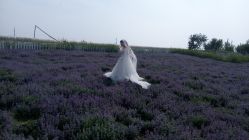 -完美新娘婚纱摄影