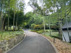 -芦茨金富饭庄·25年老字号·专做稻草鸡