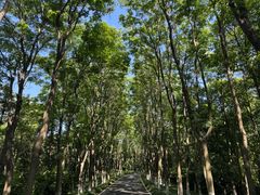 -宜兴龙背山森林公园