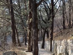 -香山公园