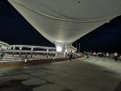 -演武大桥观景平台