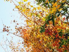 -济南国际园博园