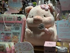 -九木杂物社(中心店)