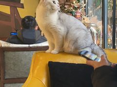 -咖法森林·咖啡  酒吧(天河店)