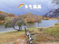 -乌兰布统草原