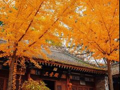 -少华山国家森林公园