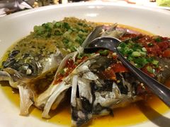 双色鱼头-毛家饭店·融合新湘菜·主题宴(齐鲁软件园店)