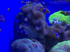 -多彩贵州城极地海洋世界