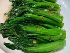 生炒菜心-陶陶居·雅园(凯华国际店)