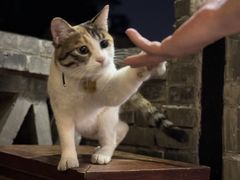 -后海16号·北京私房菜