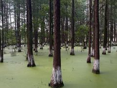 -艾溪湖湿地公园