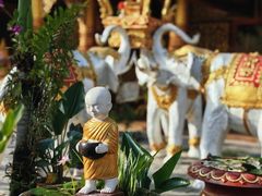 -西双版纳傣族园