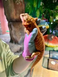 -酷嗒动物文化乐园(cutezoo西溪乐天城店)