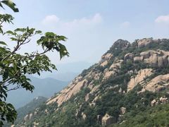 -鲁山国家森林公园