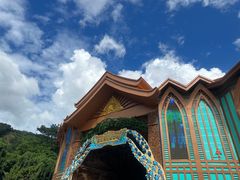 -西双版纳原始森林公园