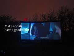 -枫花园汽车电影院(朝阳公园店)