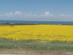 -青海湖国家重点风景名胜区