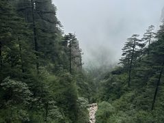 -神农架景区
