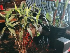 -红蜡烛-养生粥-津鲁菜(中山路店)