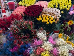 -越秀西湖花市(广州城市广场花卉店)
