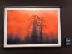 -罗红摄影艺术馆