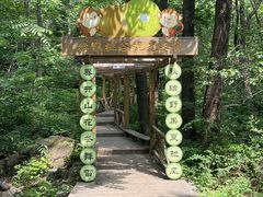 -大岭沟猕猴桃谷风景区