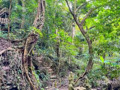 -七仙岭温泉国家森林公园