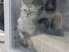 -宠颐生动物医院·心脏科·保险定点(锦阳分院)