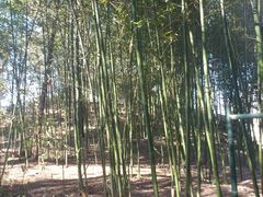 -紫竹院公园冰场