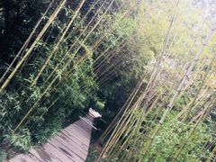 -唐城墙遗址公园
