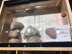 -面包谷Grains n' Beans(九号公馆店)