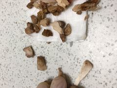 -美联众合爱康动物医院•复杂内科•肿瘤科•牙科•腔镜诊疗中心