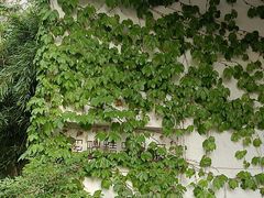 -溪畔•新徽菜(碧湖云溪店)
