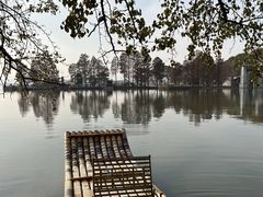 -东湖落雁景区