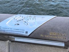 -星光大道