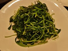 鸡毛菜-胖姐渔村(中源大道店)