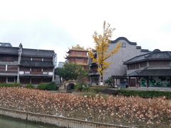-龙潭水乡