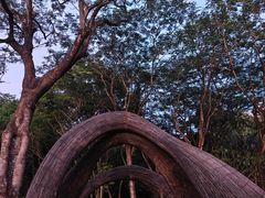 -深圳国际园林花卉博览园