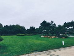 -日照灯塔风景区